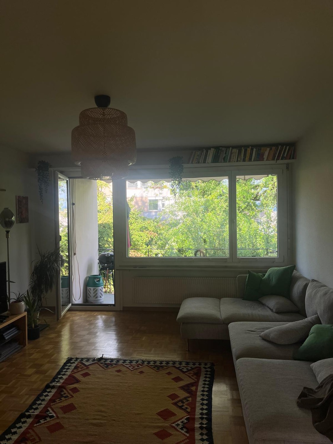 Appartamento di 4 ½ locali