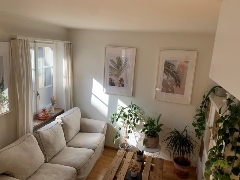 2 ½ Zimmer-Wohnung