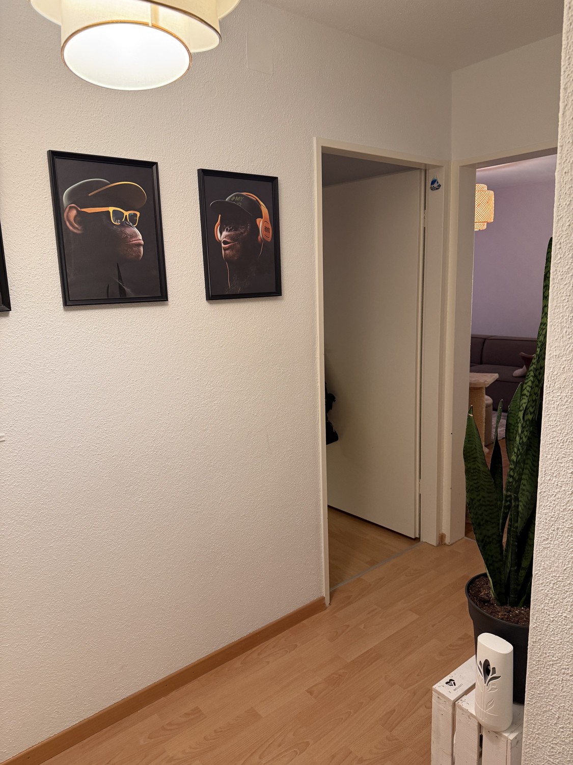 Appartement de 1 pièce