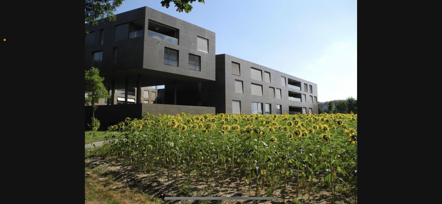 Appartement de 2 ½ pièces