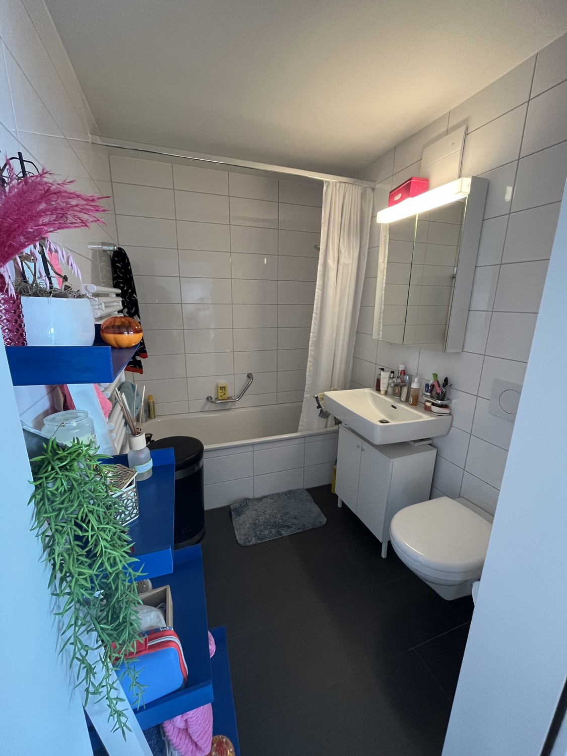 2 ½ rooms apartment