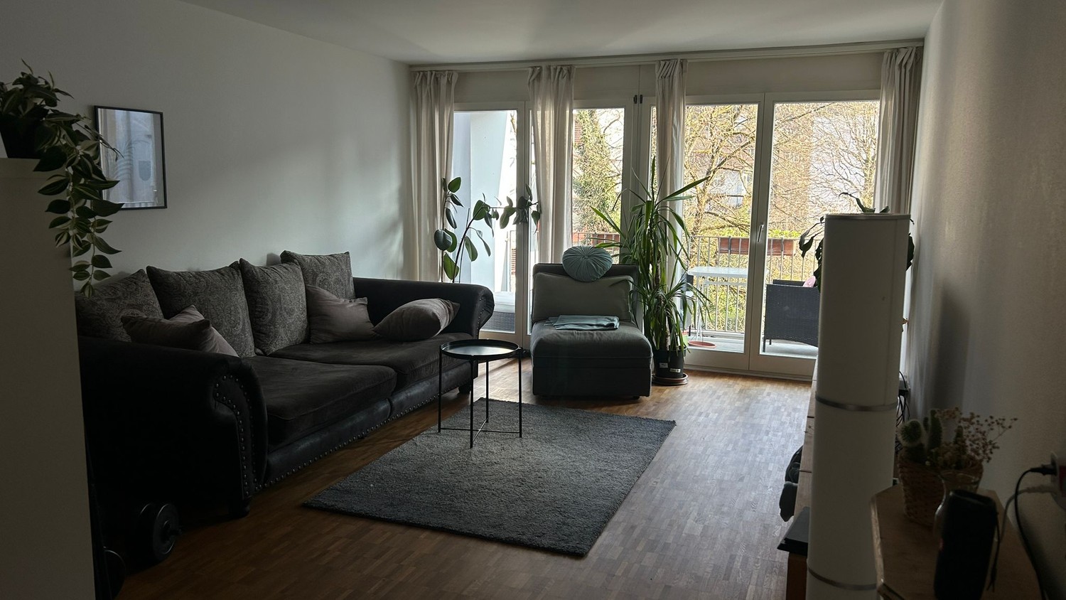 Room in a shared flat