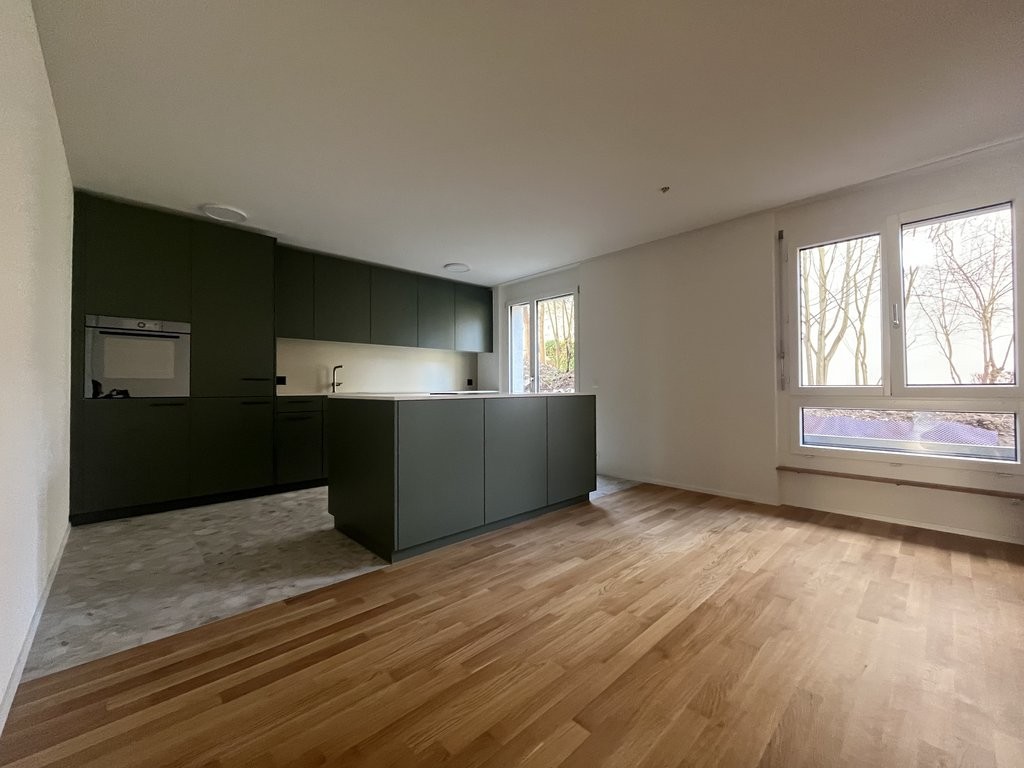 3 ½ rooms apartment (3)