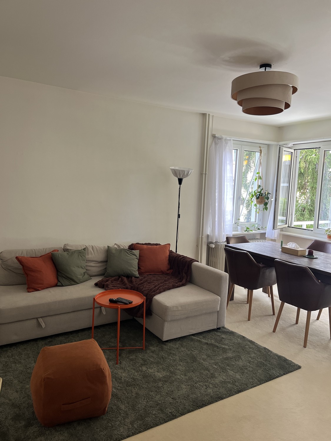Appartamento di 3 ½ locali