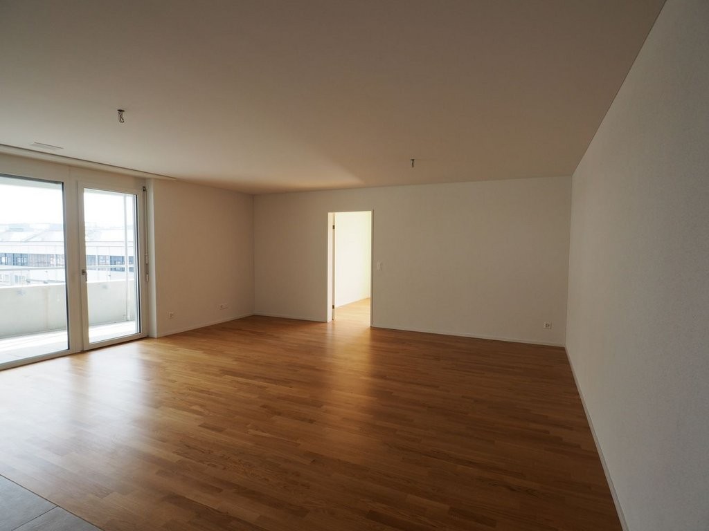 3 ½ rooms apartment (4)