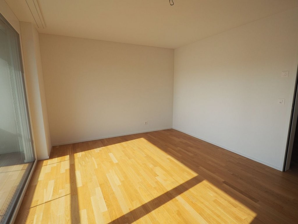 3 ½ rooms apartment (3)