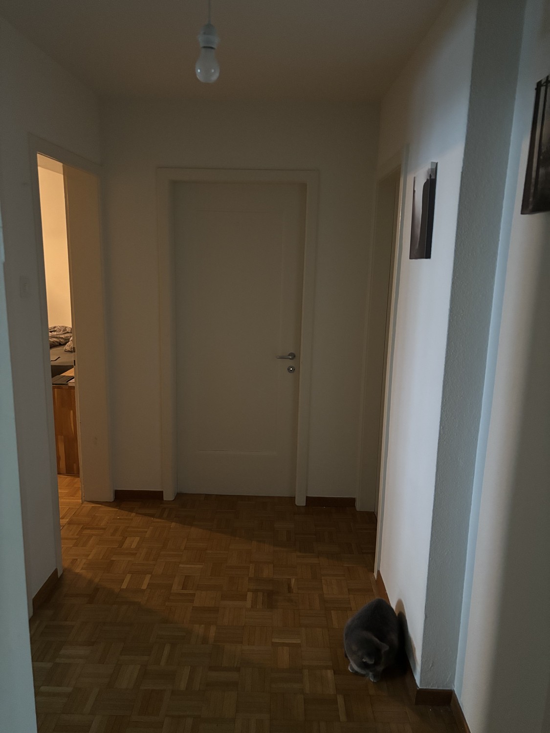 Room in a shared flat