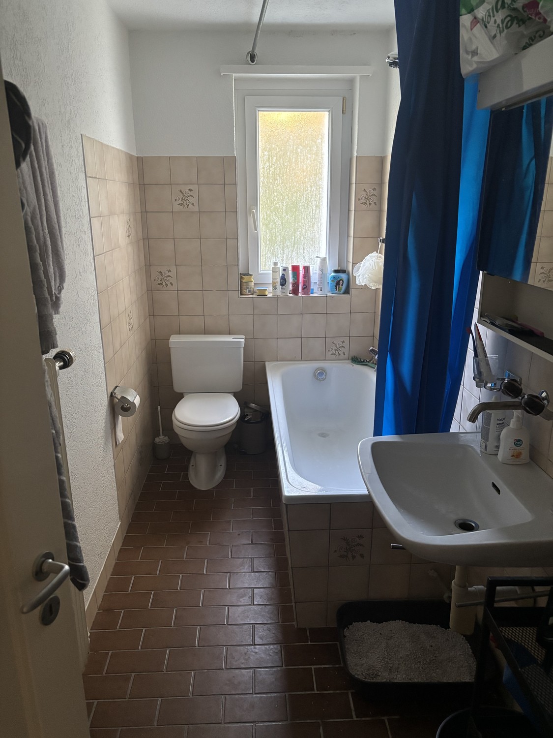 Room in a shared flat