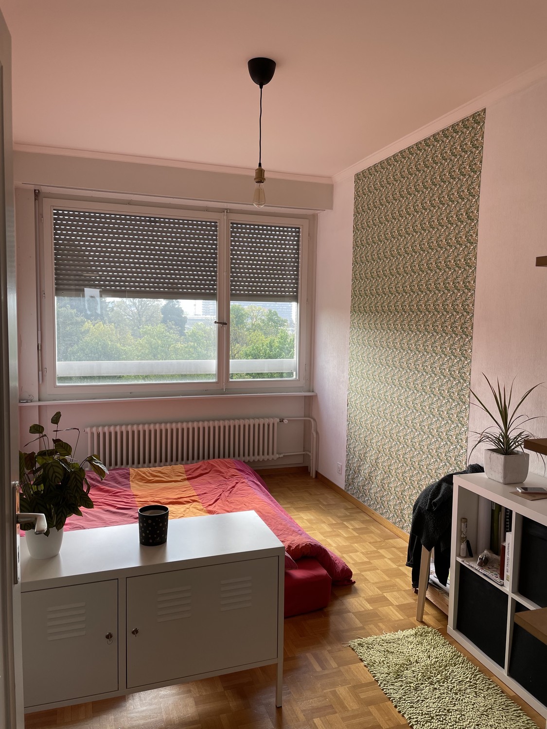 Room in a shared flat