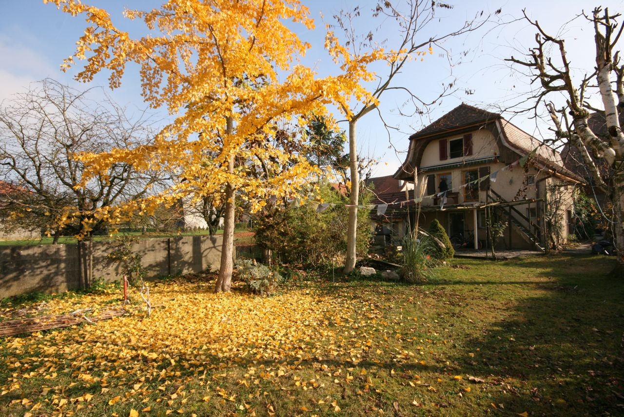 5 ½ pièces maison individuelle