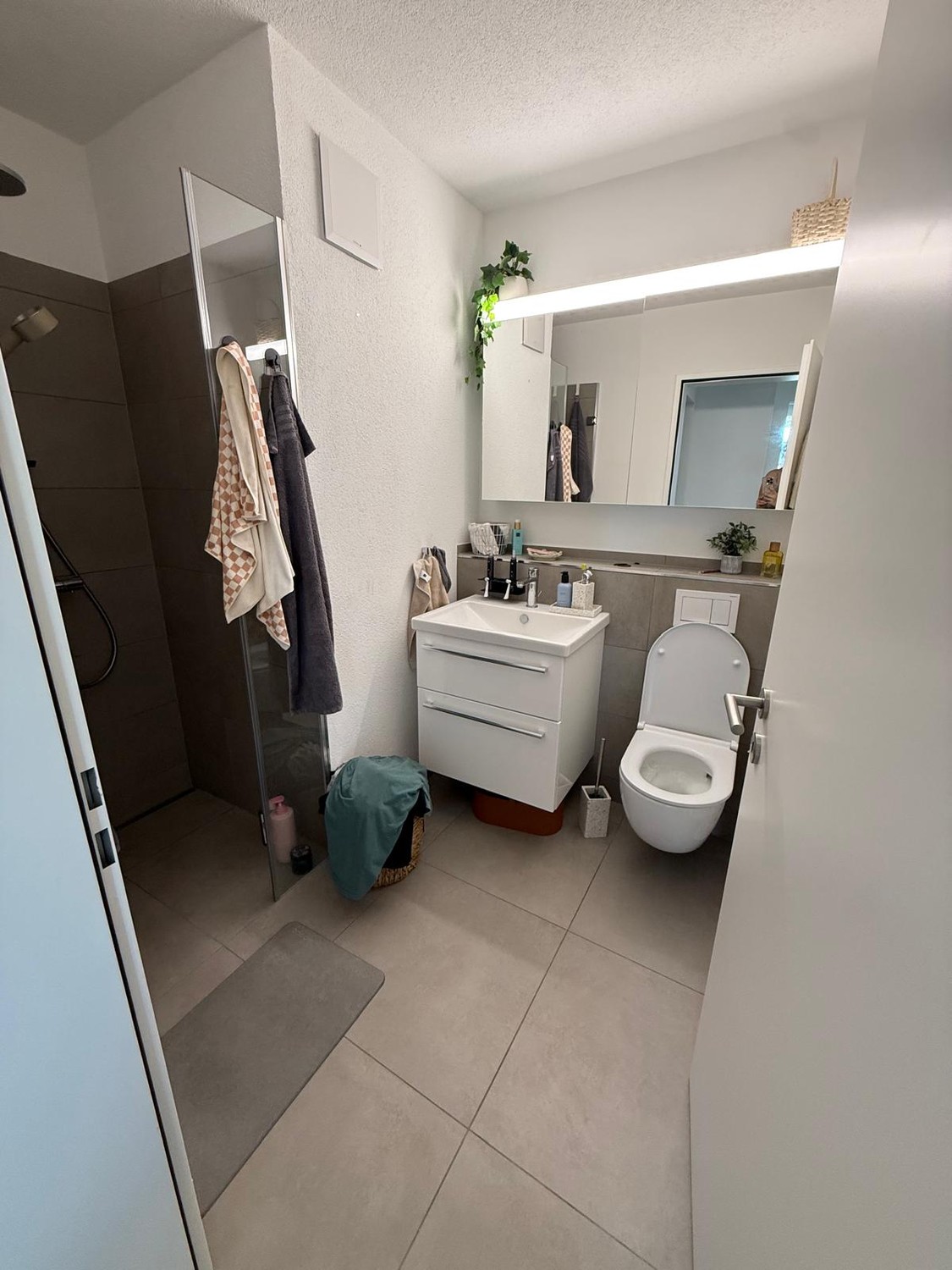 2 ½ rooms apartment
