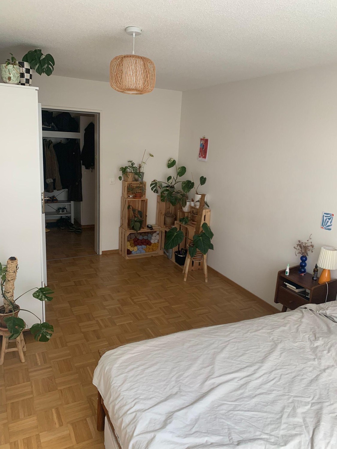 Room in a shared flat