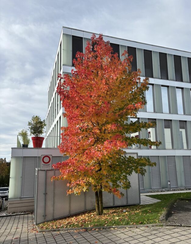 130m² office, photo 9 of 10