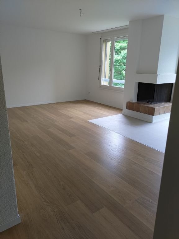 Appartamento di 4 ½ locali (3)