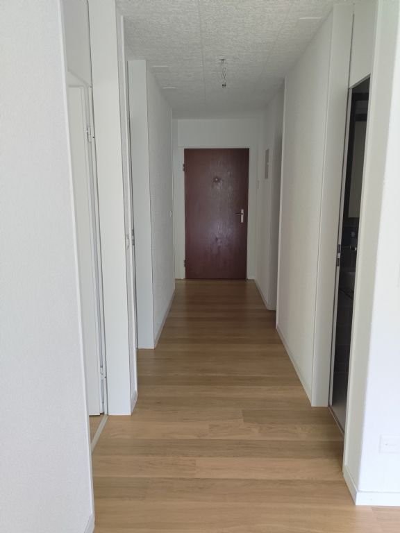 Appartamento di 4 ½ locali (5)