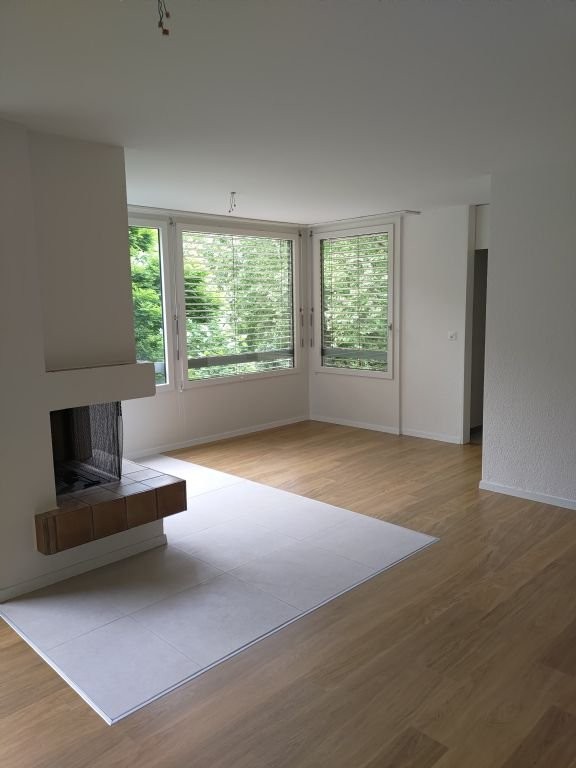 Appartamento di 4 ½ locali (2)