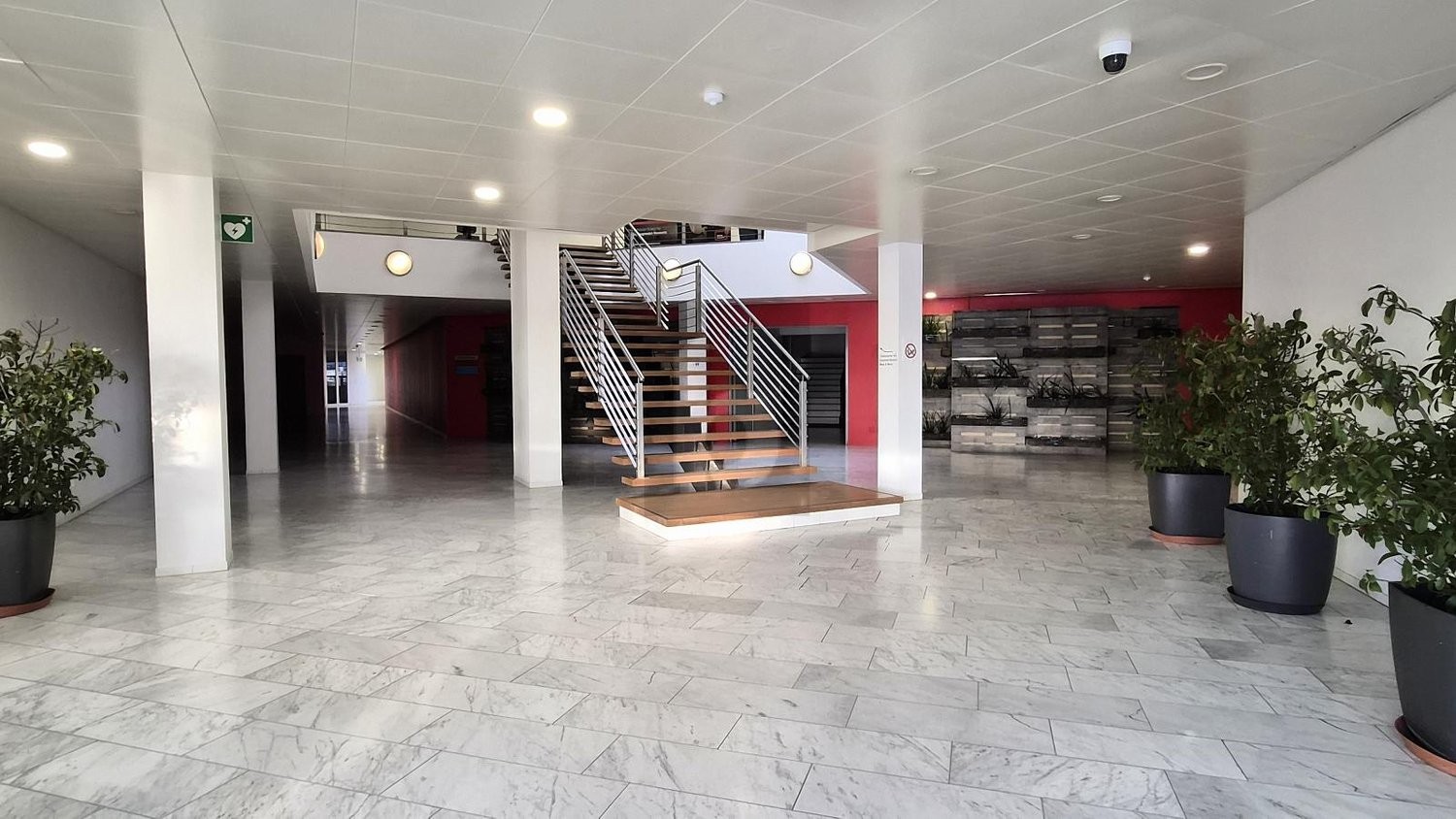 246m² office, photo 4 of 4