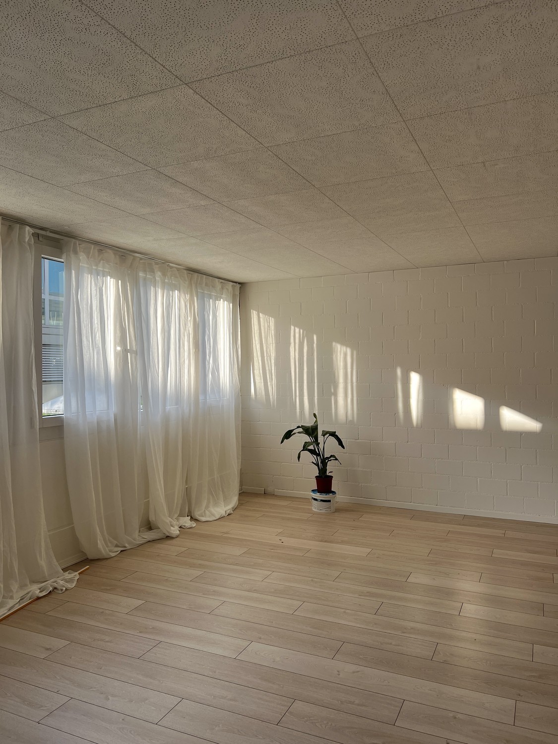 42m² office, photo 4 of 8