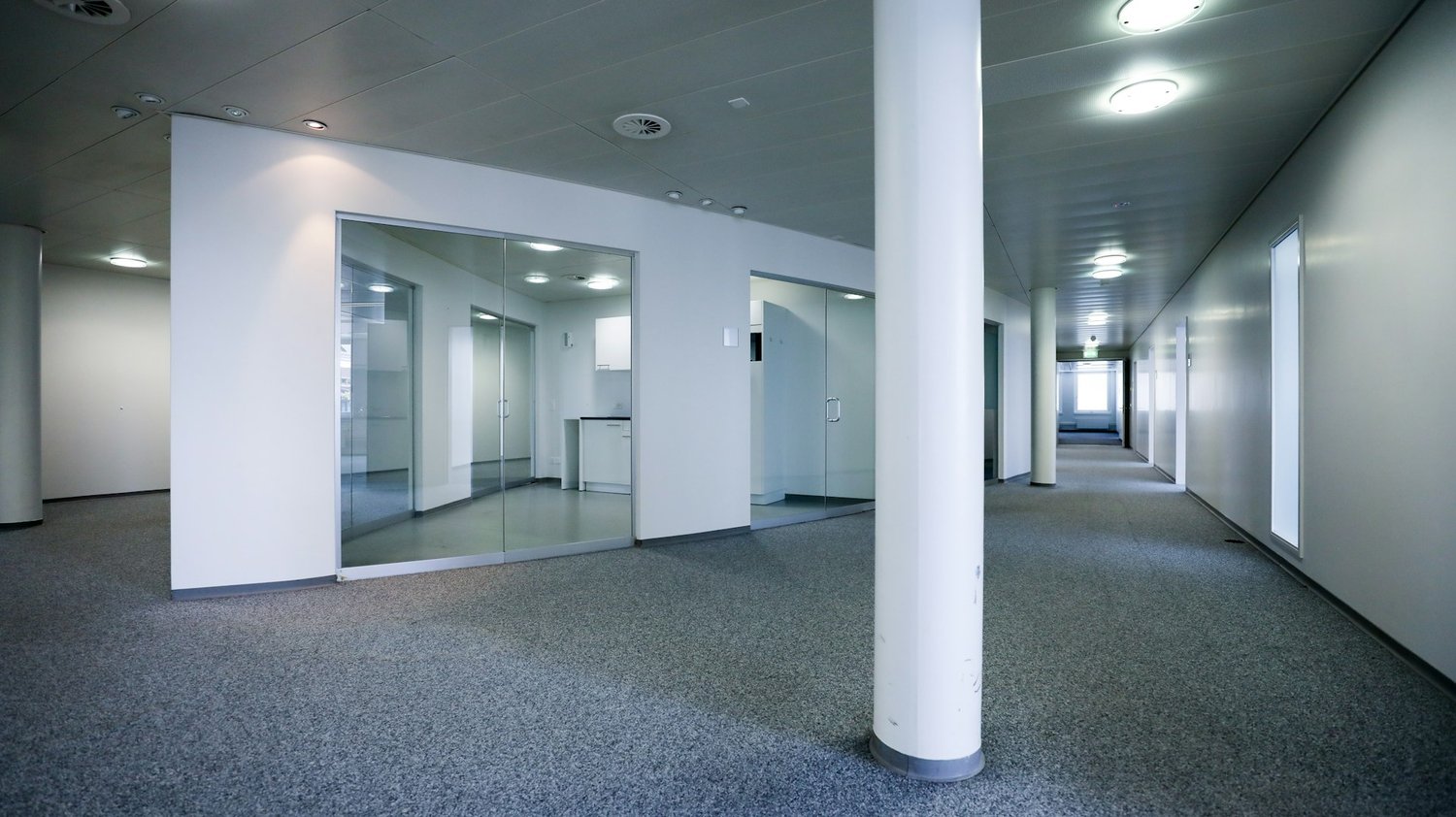 1129m² commercial, photo 7 of 10