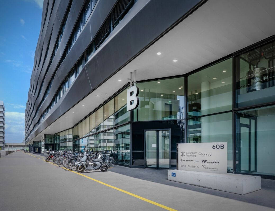 413m² de bureaux