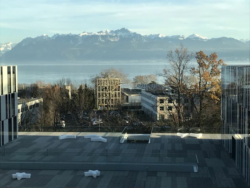 221m² office, photo 4 of 10
