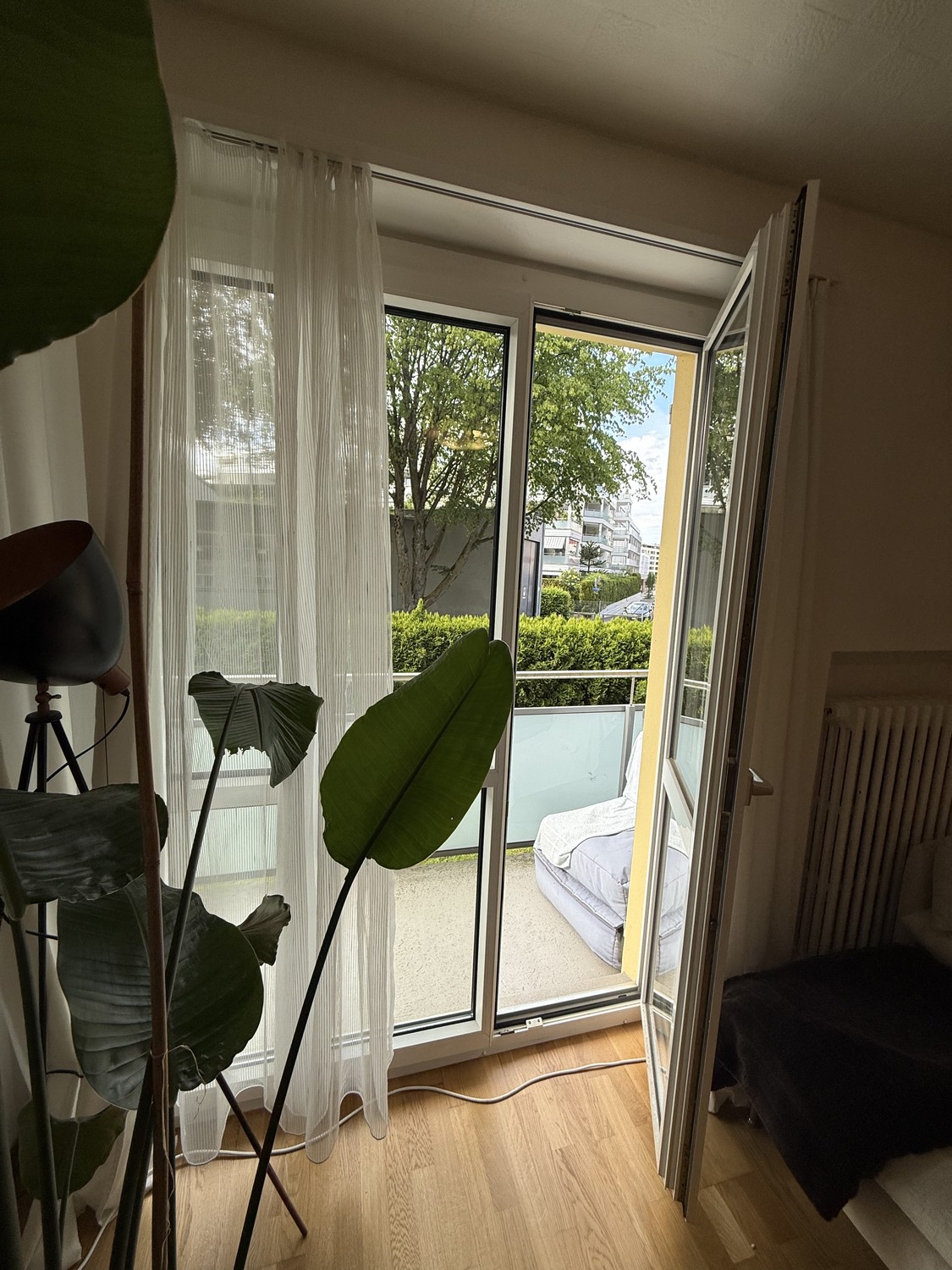Room in a shared flat