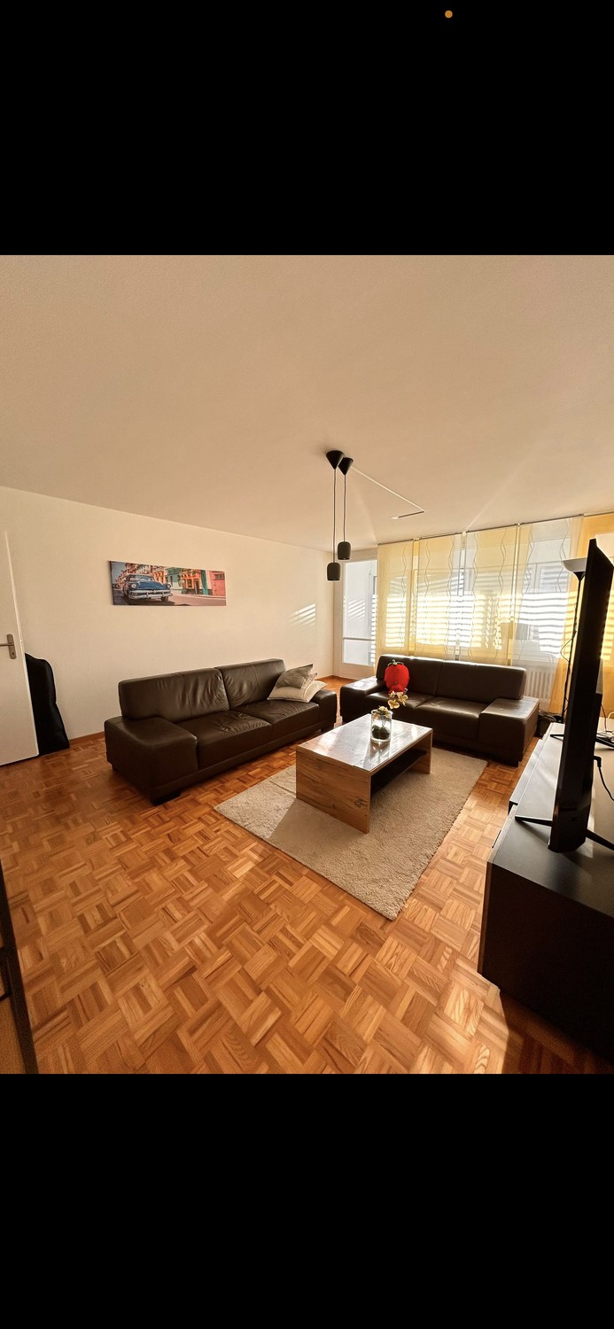 Appartamento di 2 ½ locali