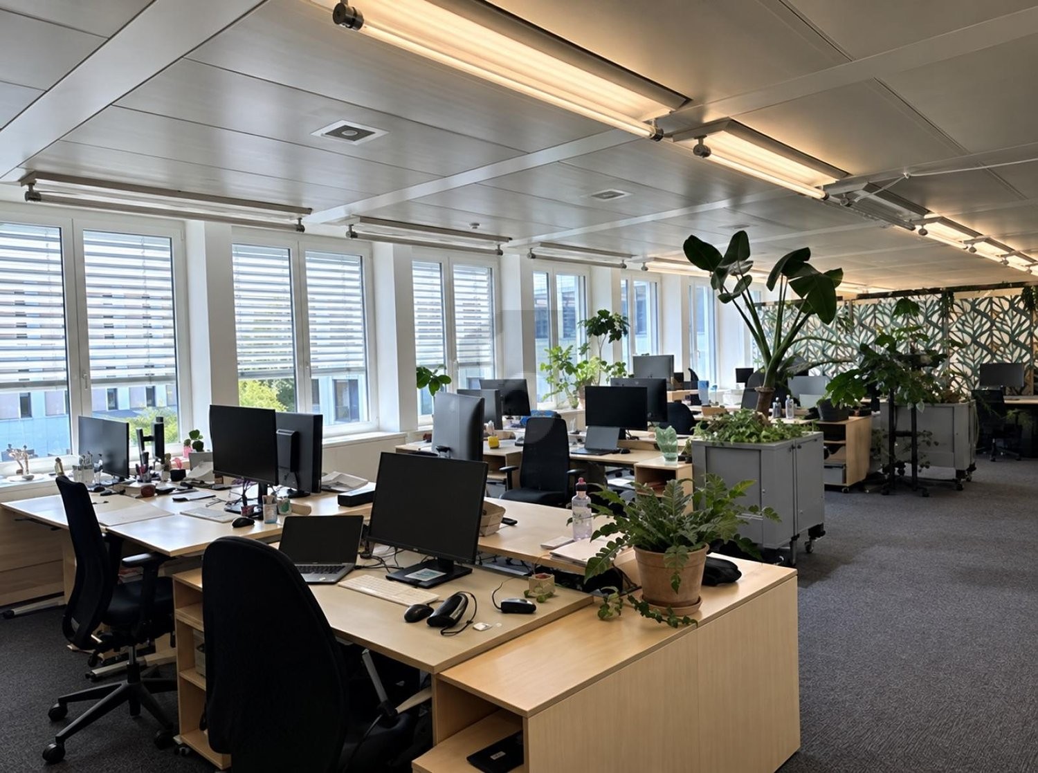 261m² office, photo 1 of 4