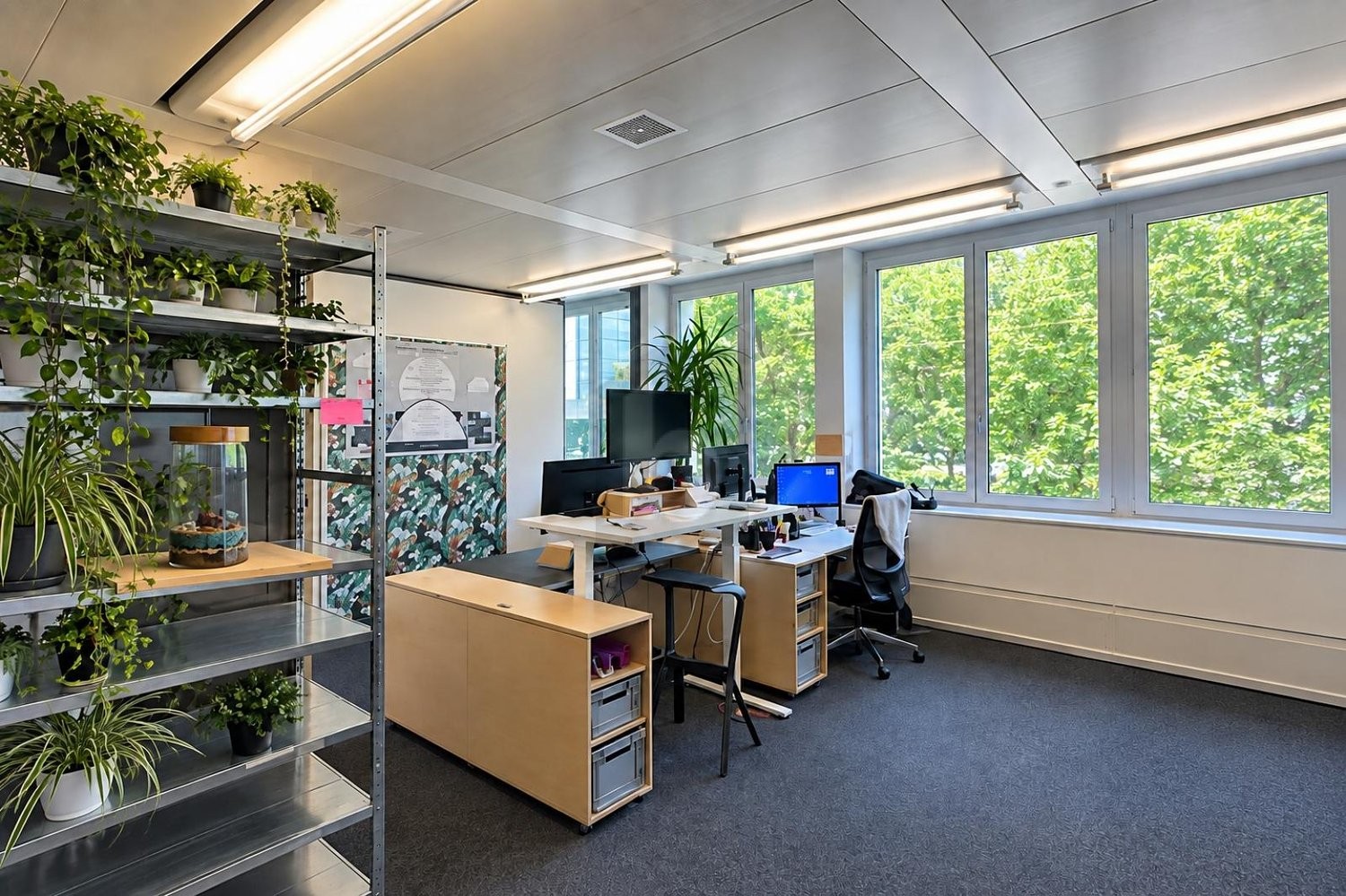 261m² office, photo 2 of 4