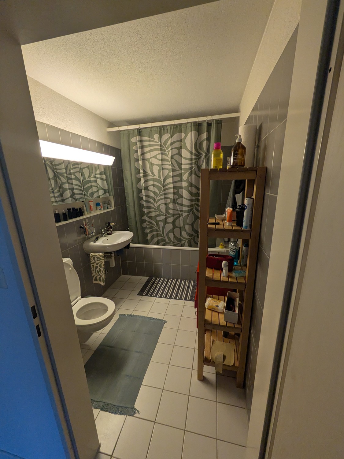 Room in a shared flat