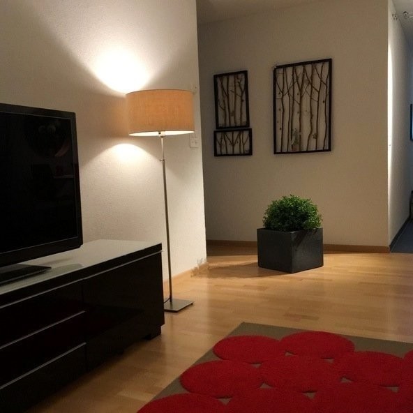 Appartement meublé de 2 ½ pièces