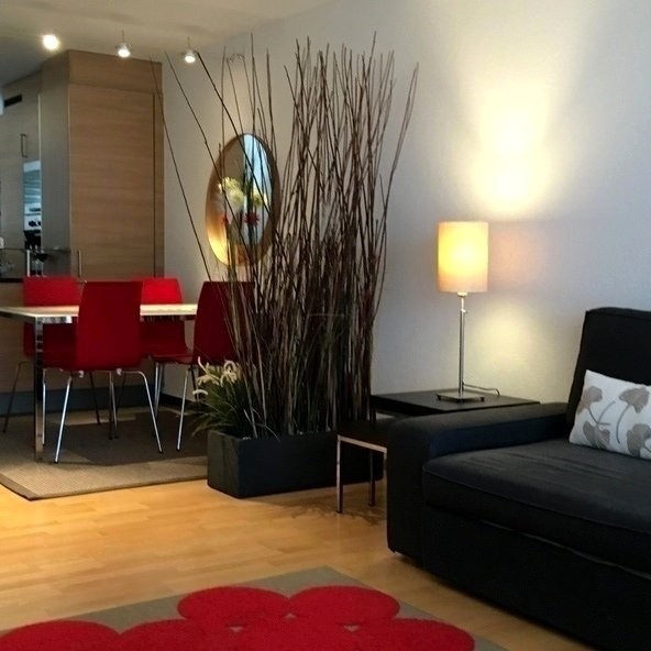 Appartement meublé de 2 ½ pièces