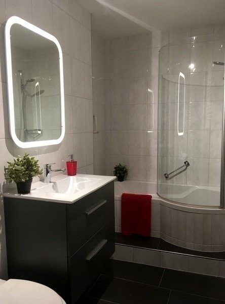 Appartement meublé de 2 ½ pièces