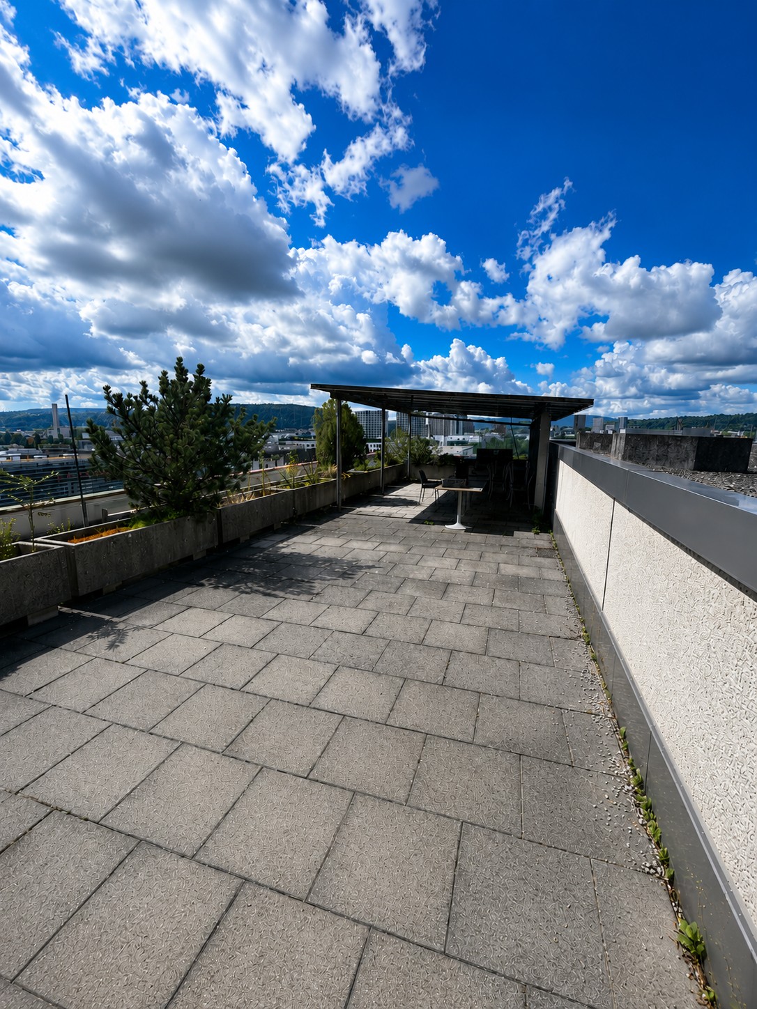 550m² commercial, photo 3 of 10
