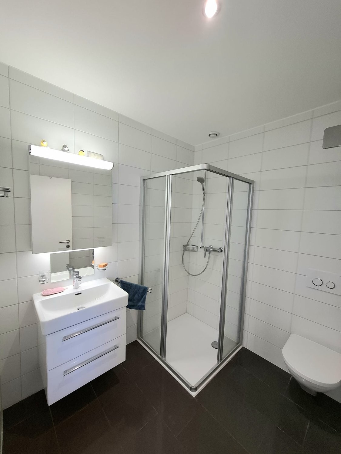 4 ½ Zimmer Wohnung