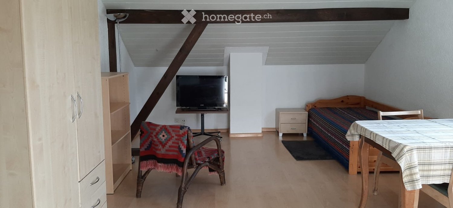 1 room apartment