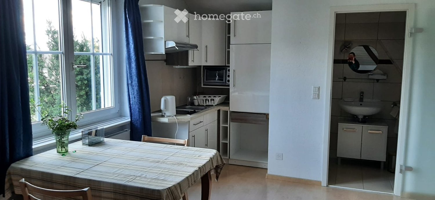 1 room apartment