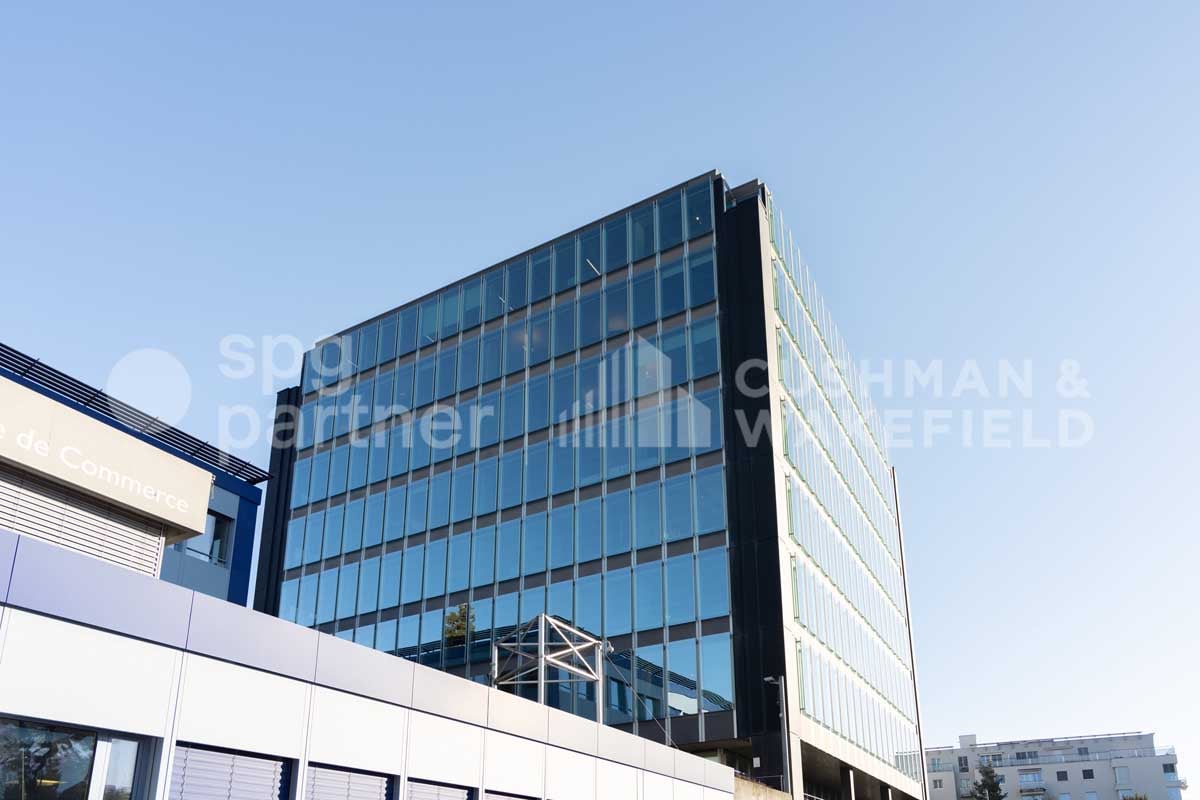 600m² commercial, photo 7 of 7