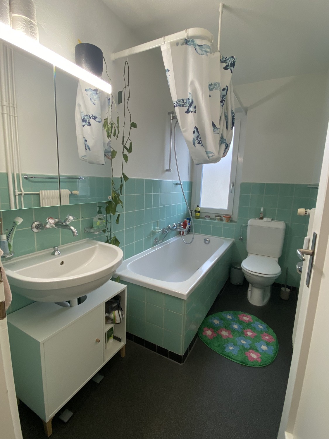 2 ½ rooms apartment, photo 5 sur 8