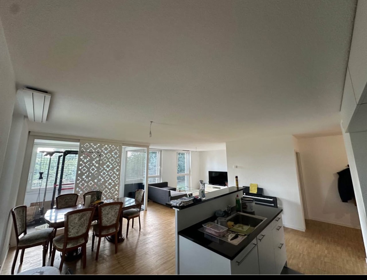 4 ½ rooms apartment