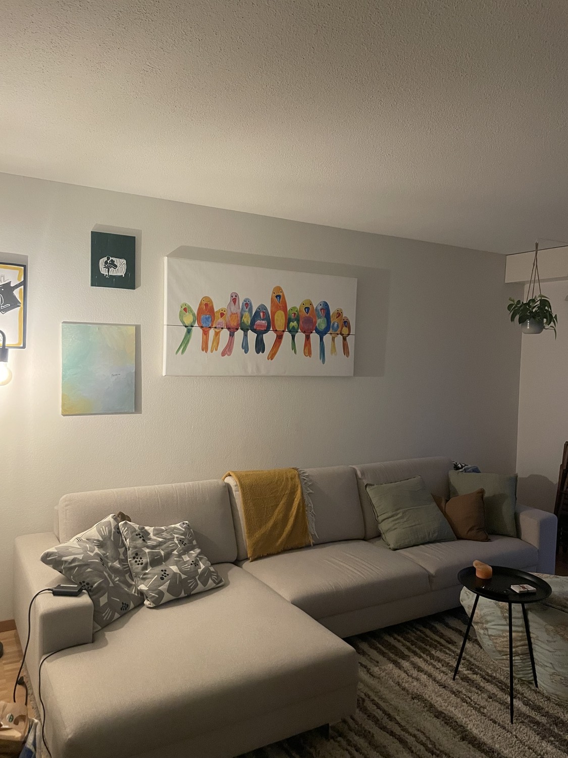 Room in a shared flat