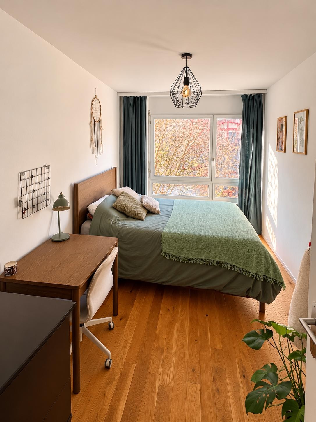 Room in a shared flat
