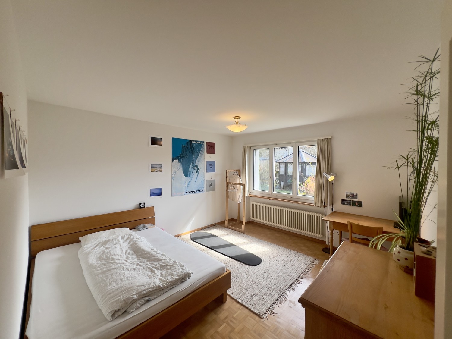 Room in a shared flat