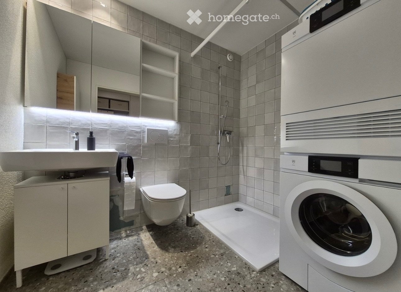 4 ½ Zimmer Wohnung