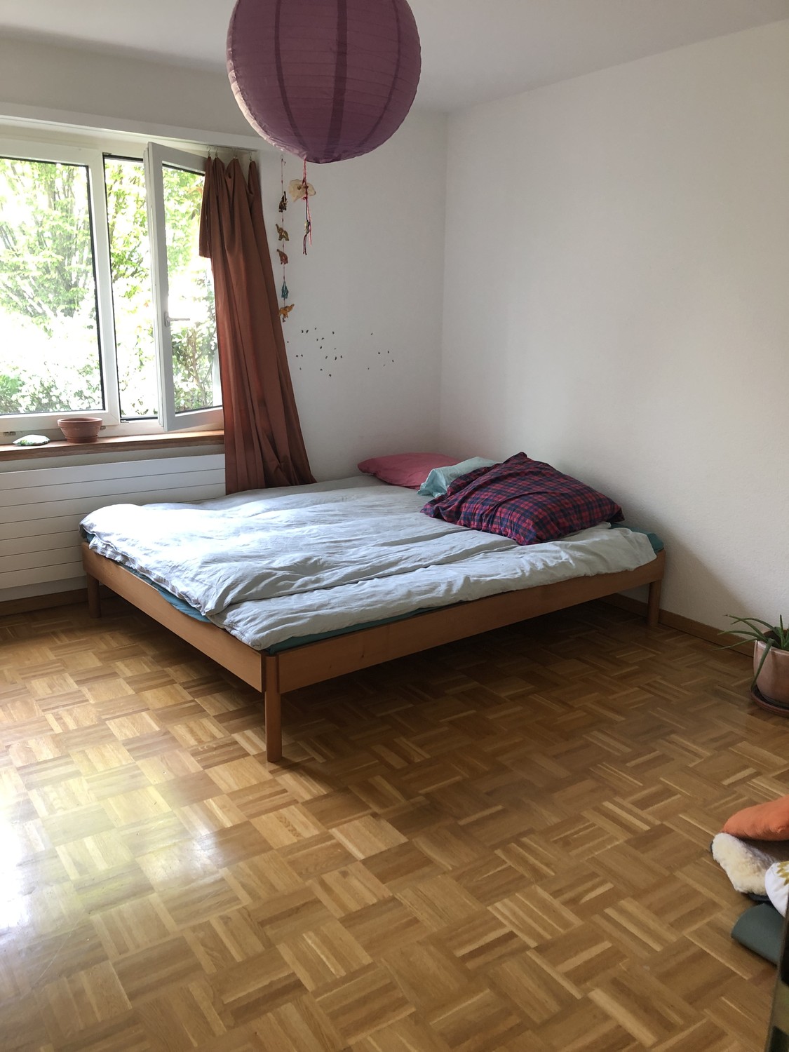 Room in a shared flat