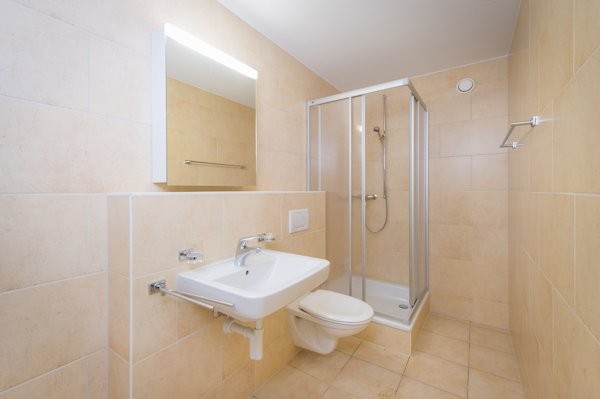 3 ½ rooms apartment (5)