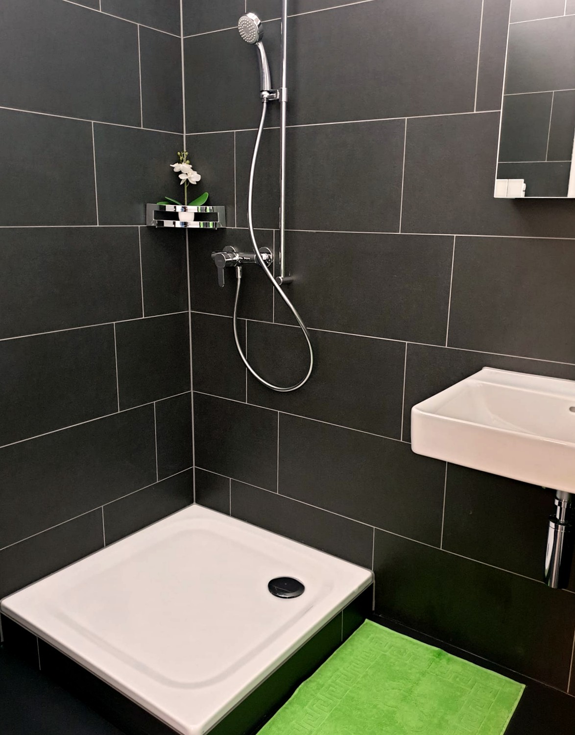 Chambre dans un appartement partagé