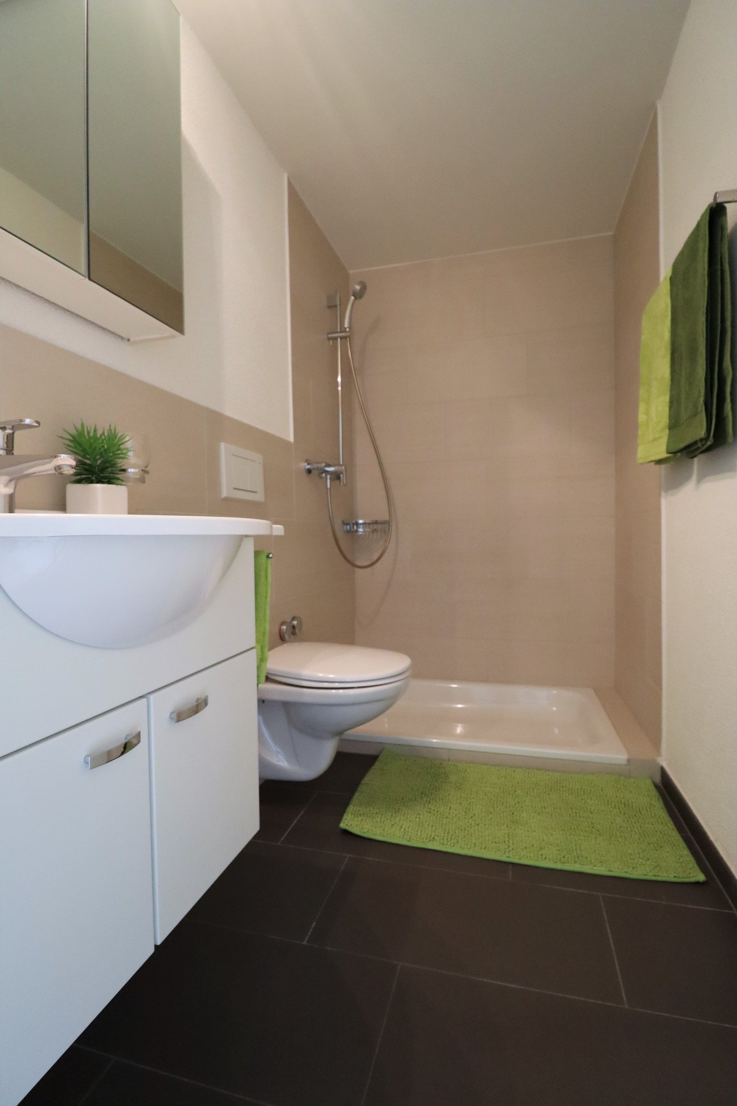1 ½ pièces appartement