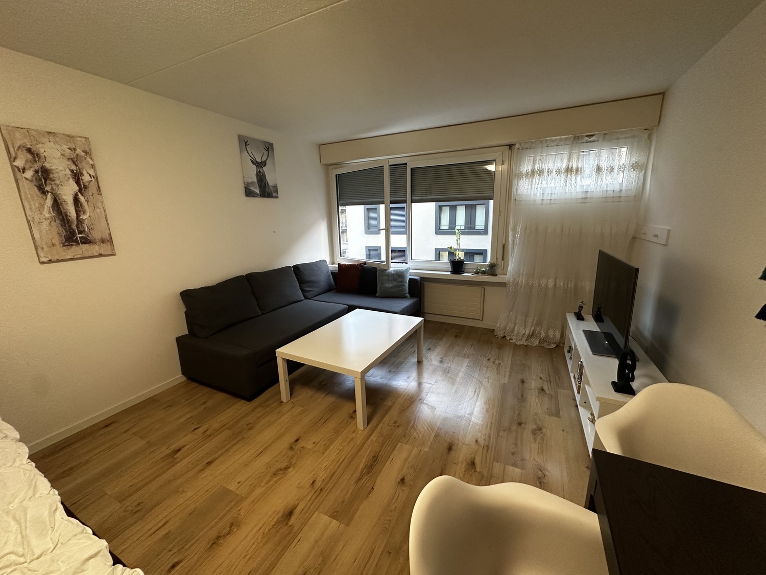 1 room apartment, photo 2 of 2