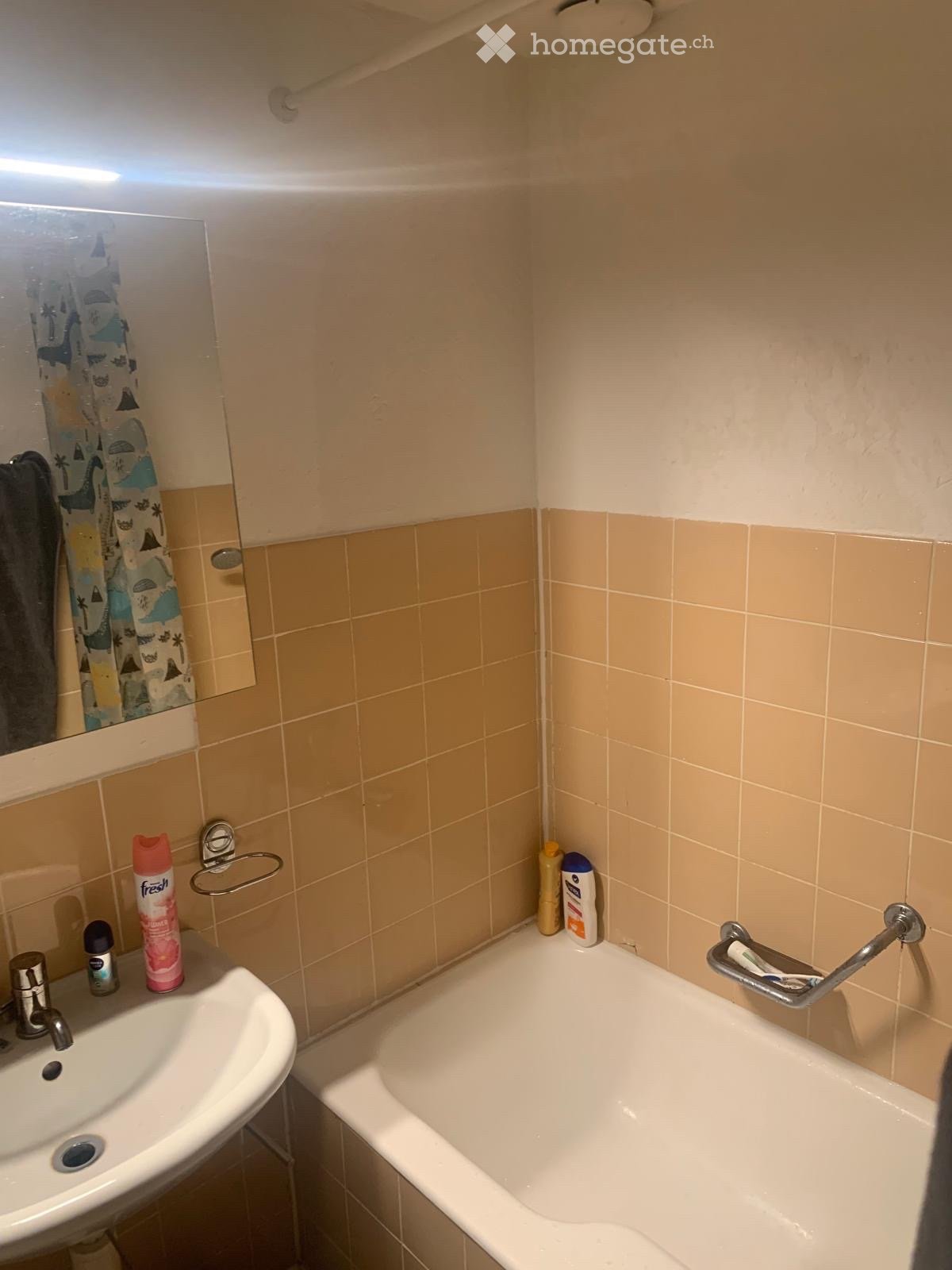 1 room apartment, photo 3 sur 4